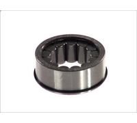 Cuscinetto, albero differenziale DT SPARE PARTS per 3 - series 8.476 1989-1989
