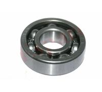 Cuscinetto Albero Motore 6305 Compatibile Con Lambretta LI TV SX GP