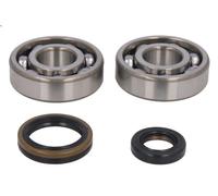 Athena Kit Di Cuscinetti E Paraoli Per Albero Motore Suzuki Rm 125 92-05