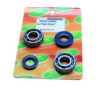 CUSCINETTO ALBERO MOTORE + GUARNIZIONE °°°SCOOTER TOP PERF PER BOOSTER-STUNT-NITRO (SKF) (KIT)