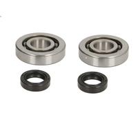 Cuscinetto albero motore RMS RMS 10 020 0312