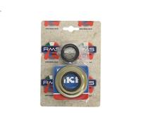 Cuscinetto albero motore RMS RMS 10 020 0730