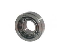 Cuscinetto alternatore 140515 F-95066
