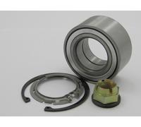 Cuscinetto Anteriore Renault Megane II 2.0DCI 2005-, Kangoo 2008-