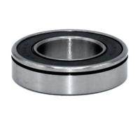 Cuscinetto Black Bearing B3 21238595-2rs Argento