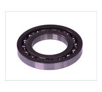 Cuscinetto BOSCH 1 460 925 001