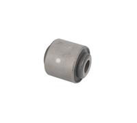 DELPHI TD1649W Supporto braccio oscillante
