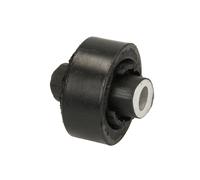 TD359W Supporto braccio oscillante Posteriore Delphi