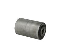 Cuscinetto, braccio oscillante DELPHI TD573W