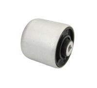 Cuscinetto, braccio oscillante REINHOCH RH14-0049