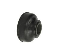 Cuscinetto, braccio oscillante REINHOCH RH14-1007