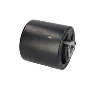 Cuscinetto, braccio oscillante REINHOCH RH14-3003