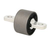 TEDGUM TED21906 Supporto, Braccio oscillante per LEXUS
