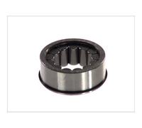 Cuscinetto, cambio manuale DT Spare Parts 1.17110
