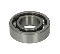 Cuscinetto, cambio manuale EURORICAMBI 98530401