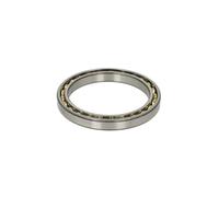 Cuscinetto, cambio manuale INA 722 0719 10