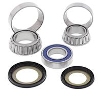 Cuscinetto canotto di sterzo per ALL BALLS AB22-1060