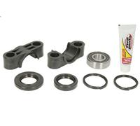 Cuscinetto canotto di sterzo PIVOT WORKS PWSSK-Y06-450