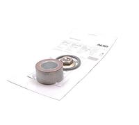 Cuscinetto Cuscinetti Ruota Ciondolo Alko 39 Compatto Magazzino/72 X 37 Mm su 2051 con Flangia Dado E Fusibile Anello Set, Argento