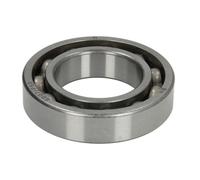 Cuscinetto della presa PARSUN KOYO6007C4