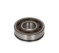 Cuscinetto della scatola del cambio SNR AB 41386