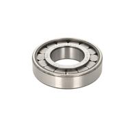 Cuscinetto della scatola del cambio SNR N 40000 H100