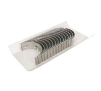 GLYCO H1103/7 STD Bronzine di banco