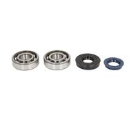 Athena P400130444005 Kit Albero Motore Skf per B&S Minarelli Metal Cage Special N