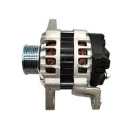 cuscinetto dell'alternatore Alternatore 24 V 55 A per Hyundai E-Mighty HD35 HD45 HD65 HD75 08EM D4GA