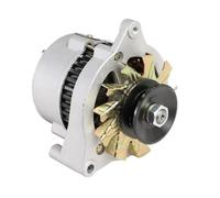 cuscinetto dell'alternatore Generatore 220V 2000W 3000W Alimentazione per veicoli 12V 24V Caricabatterie per CC a doppio scopo(24V DC,2000W)