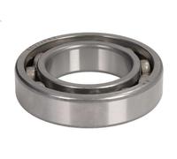 Cuscinetto delle gambe di trasmissione PARSUN 6007-P5C4