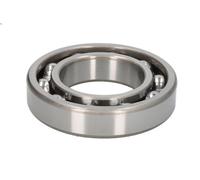 Cuscinetto, differenziale DT SPARE PARTS 1.16464 per SCANIA T 15.607 2004-2005
