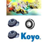 Cuscinetto e guarnizioni stelo testa sterzo conica Triumph T595 Daytona 955 1997