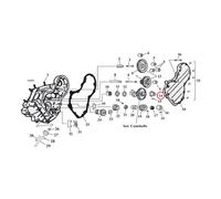 Cuscinetto Esterno Dell'Albero A Camme, +.005 Per Harley-Davidson