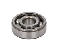 Cuscinetto FAG 6302-C3