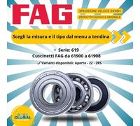 Cuscinetto FAG da 61900 a 61908 Schermatura 2Z- 2RS
