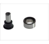 Cuscinetto, leva frizione DT SPARE PARTS 4.50350 MAN TGL I 4.58 2005-2022