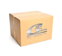 Cuscinetto leva frizione RGI22218 3RG
