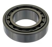 FEBI BILSTEIN 04843 Cuscinetto ruota