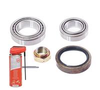 Cuscinetto mozzo ruota + olio multifunzione per PEUGEOT J5; FIAT; CITROËN
