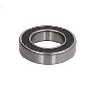 Cuscinetto NKE 6007-2RS2