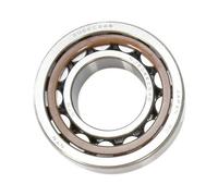 Cuscinetto NTN NJ206ECS46 30 x 62 x 16 albero secondario KTM 30x62x16 (6206)