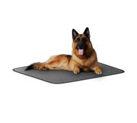 Cuscinetto per cuccioli - Comodi cuscinetti per addestramento per cani, Guinea lavabile protegge il letto | Cuscini riutilizzabili per cuccioli Cuscinetti per addestramento per animali domestici, impu