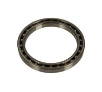 Cuscinetto, pompa ad alta pressione common rail DELPHI 9307-308A