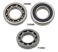 Cuscinetto primario interno BT65-69