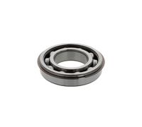 Cuscinetto radiale rigido a sfere 6209 ZNR NTN