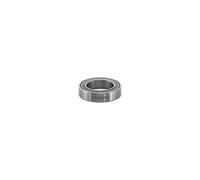 Cuscinetto Reynolds MR17287 Argento