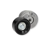 Cuscinetto Rullo Tendicinghia Ford Transit 2.4 MK6 2000 Trateo
