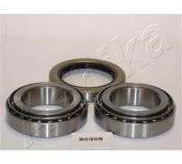 1 KIT CUSCINETTO RUOTA POSTERIORE ASHIKA 44-20305