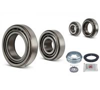 FAG Kit cuscinetto ruota per AUDI SEAT VW 713 6102 40